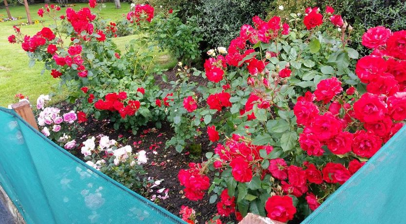 Photo of Woodhaven Lodge B&B