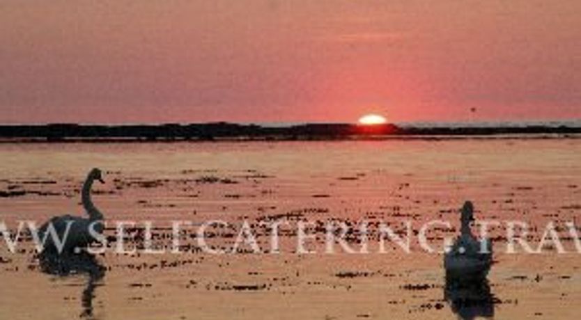 Photo of Walshes Townhouse Bed And Breakfast