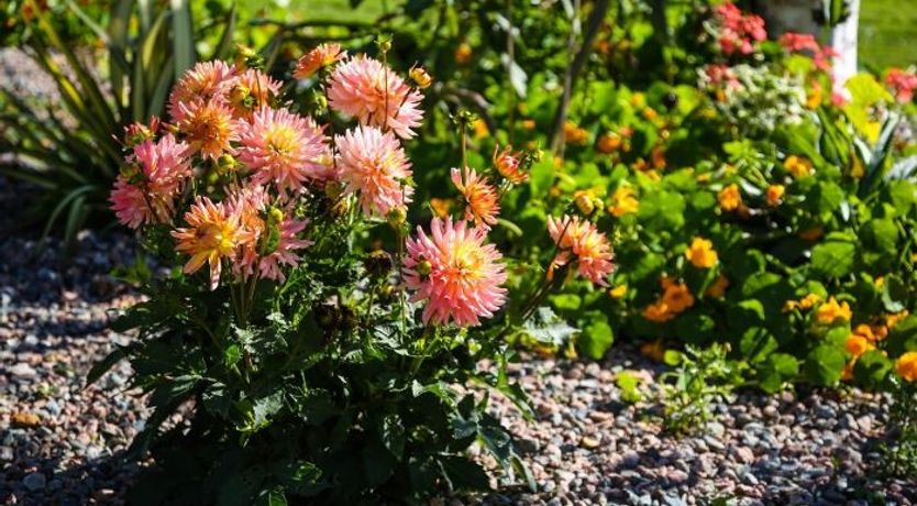 Photo of Slidala B&B