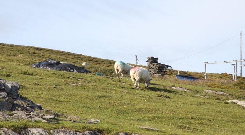 Photo of Summer Hill B&B