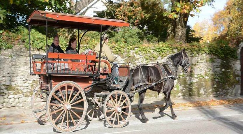 Photo of Elyod House B&B
