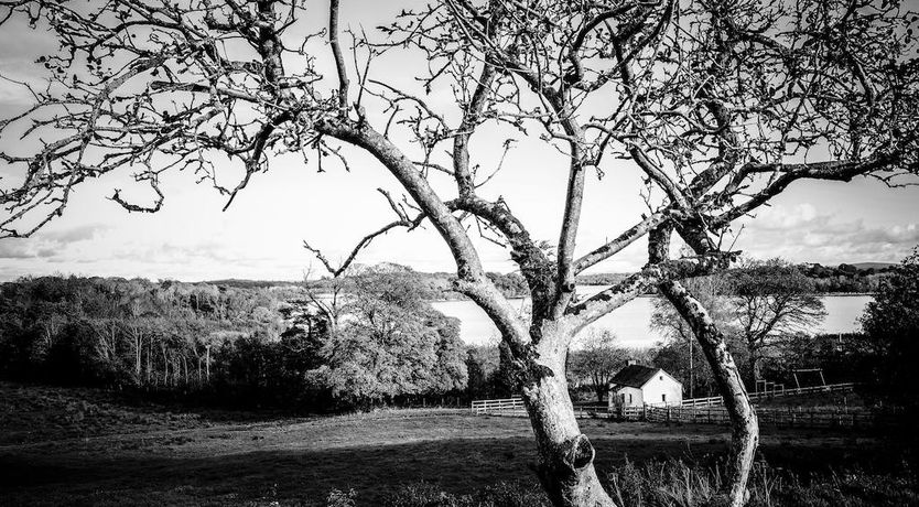 Photo of Innish Beg Cottages
