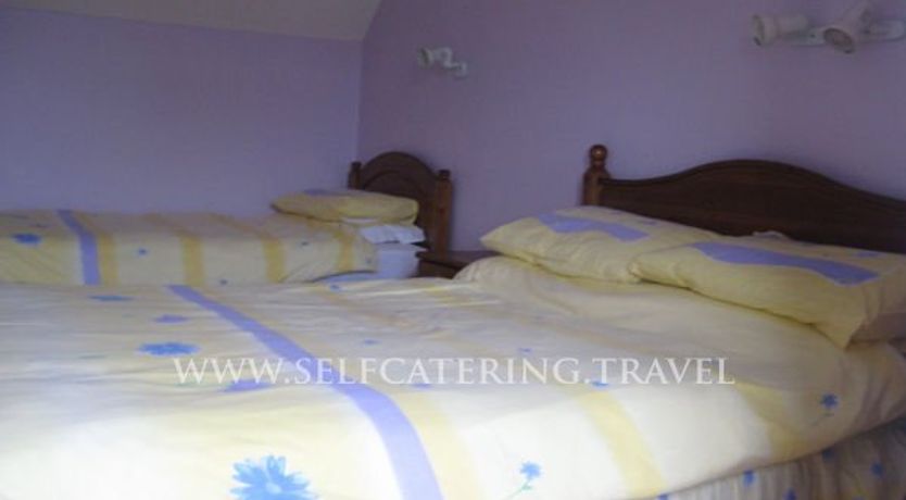 Photo of The Estuary