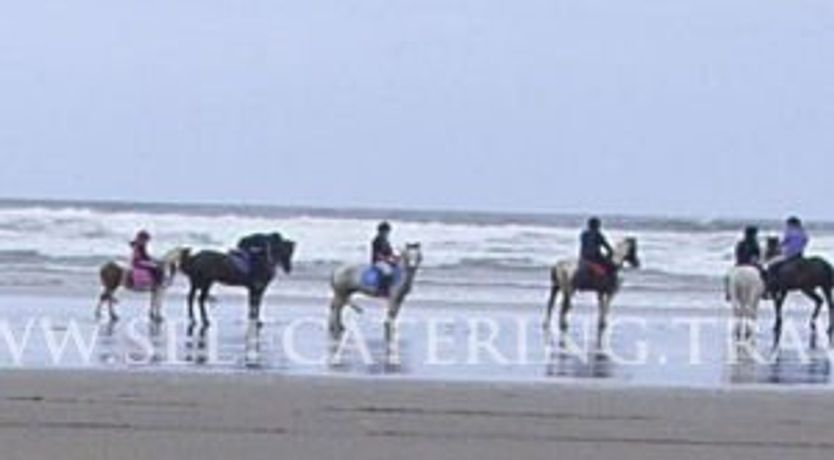 Photo of Cavan Garden Self Catering Homes