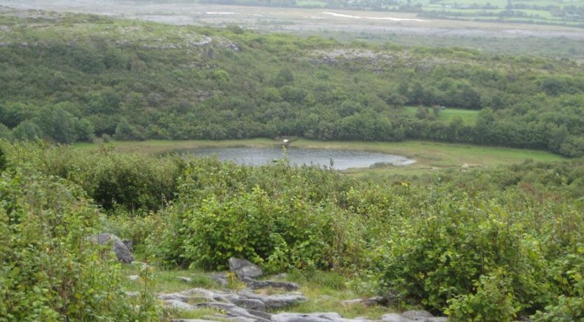 Photo of Caher Cottage