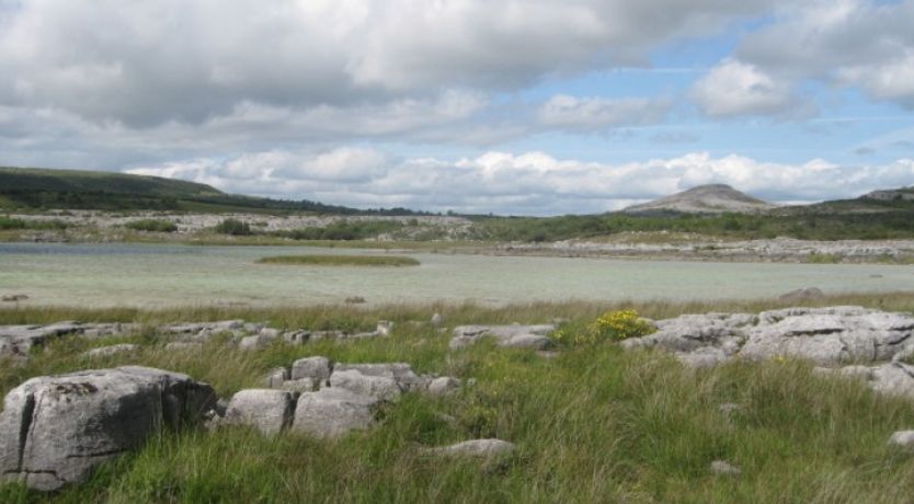 Photo of Caher Cottage