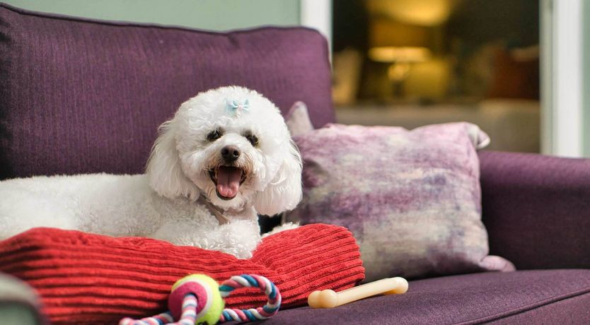 Photo of Muckross Park Selfcatering Apartments