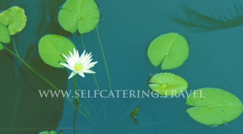 Photo of Bardez self catering cottage