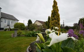Photo of Wing in Mid and East Devon