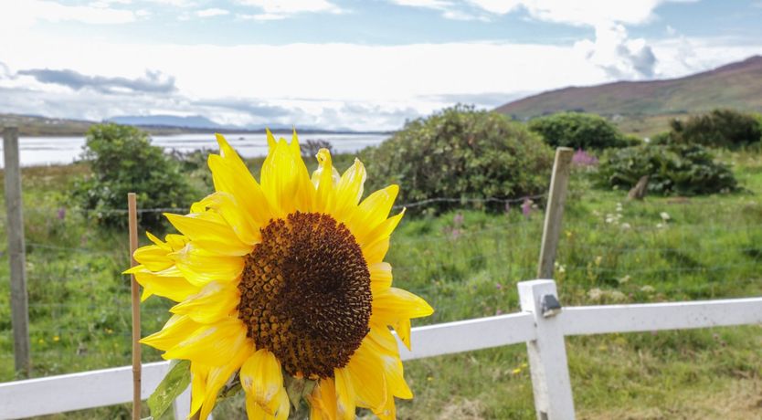 Photo of Sound Cottage