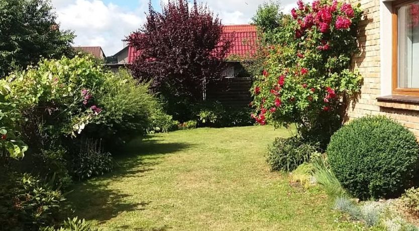 Photo of Bursztynowa