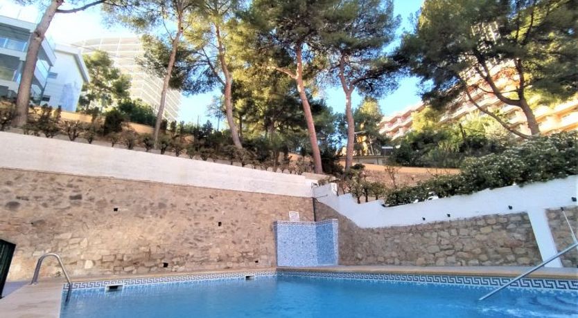 Photo of Don Lorenzo