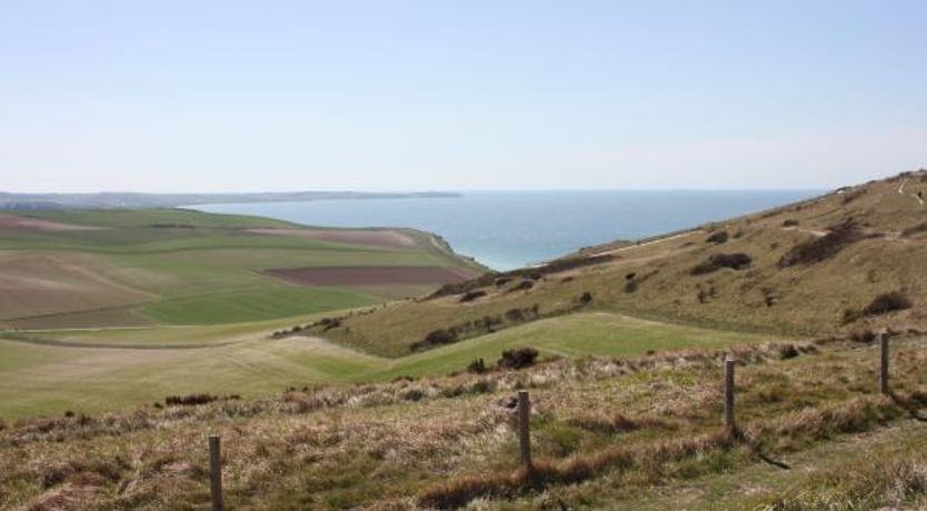 Photo of Au grand saule