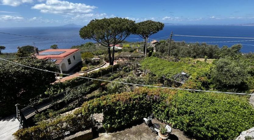 Photo of 'O pignatiello