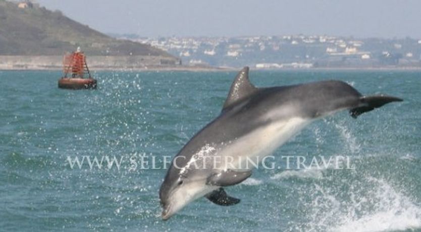 Photo of Fitzgeralds Vienna Woods Holiday Cottages