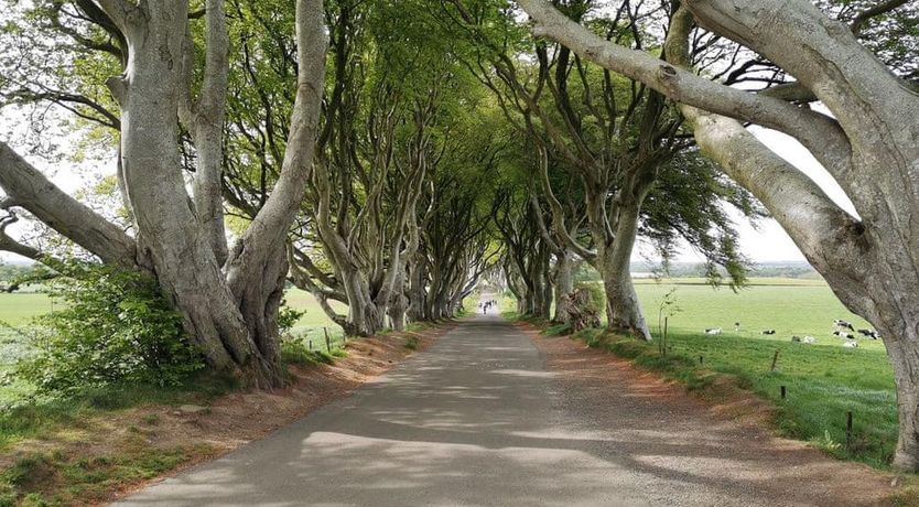 Photo of Strathroy Mews