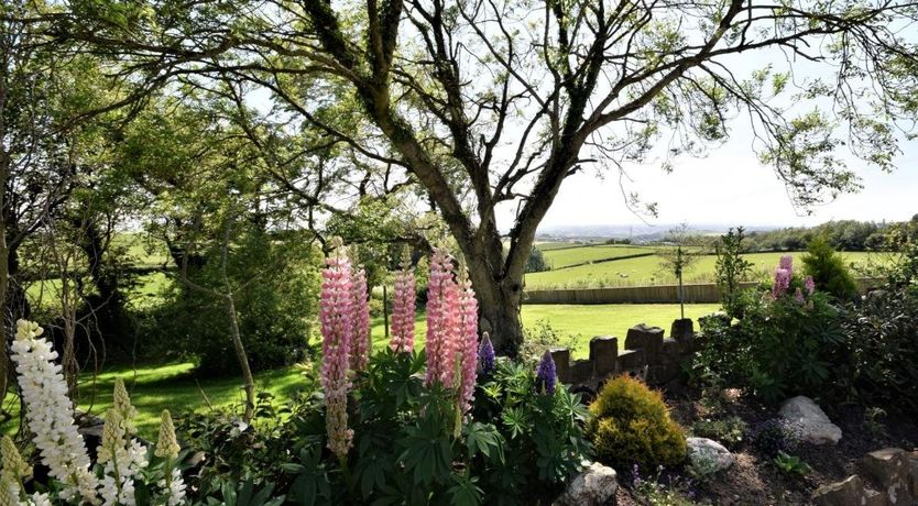 Photo of 2 Bed in Instow