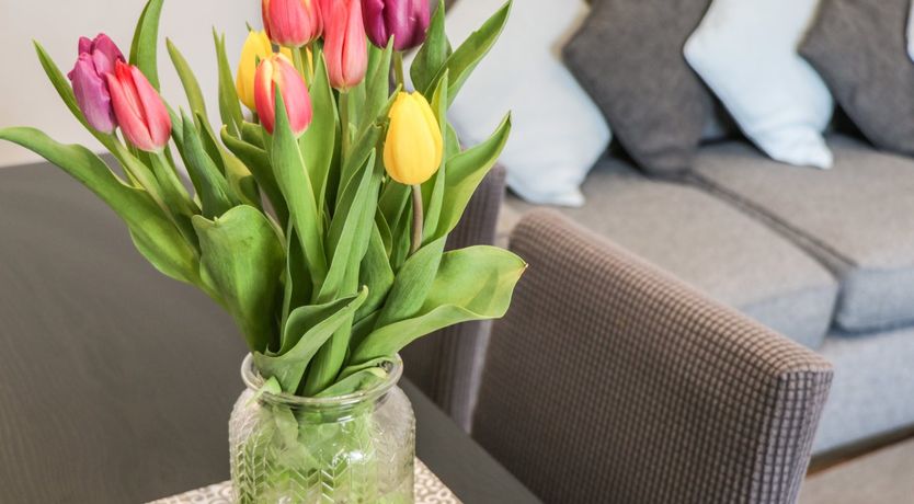 Photo of The Stables