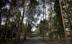 Photo of Glasson Lakeshore Cabins