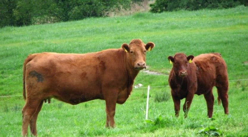 Photo of Doire Farm Cottages