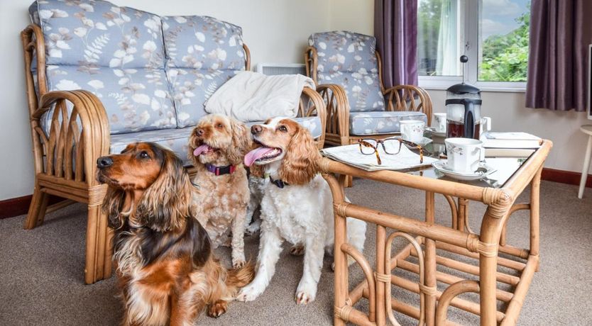 Photo of 2 Bed in Constantine