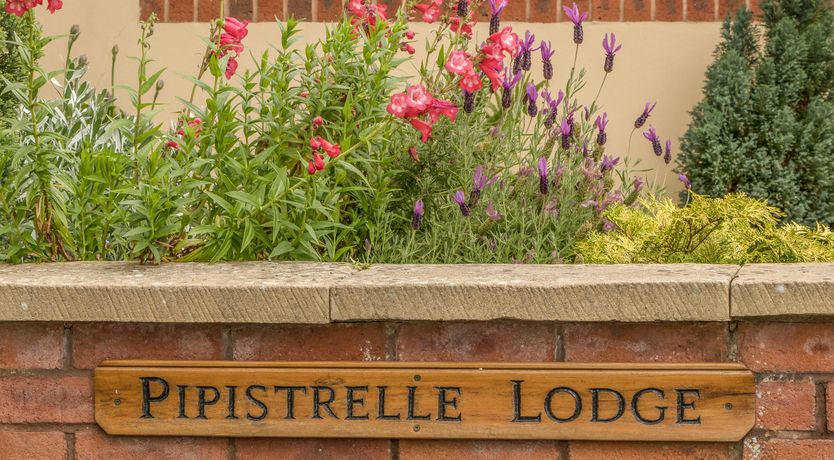Photo of Pipistrelle Lodge