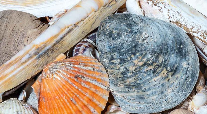 Photo of Drom Cottage - A peaceful haven