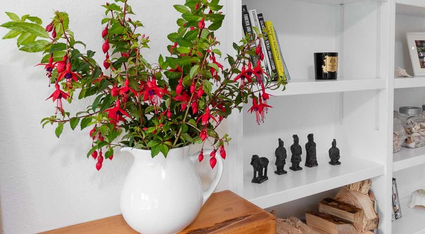 Photo of Drom Cottage - A peaceful haven