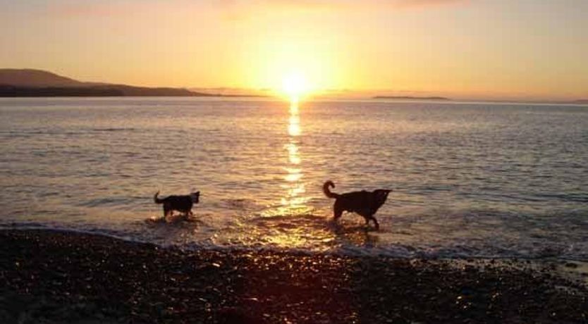 Photo of The Old Fishing Lodge