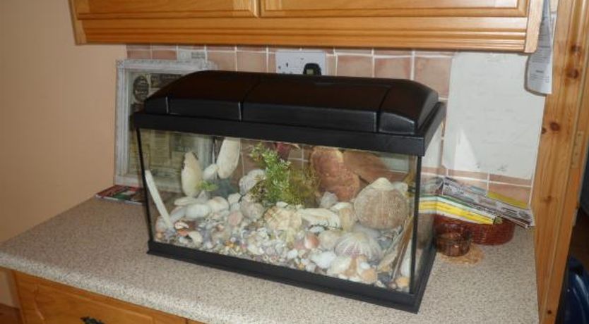 Photo of Achill View