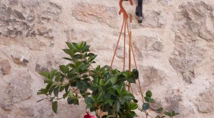 Photo of Sibenik Apartments Stars