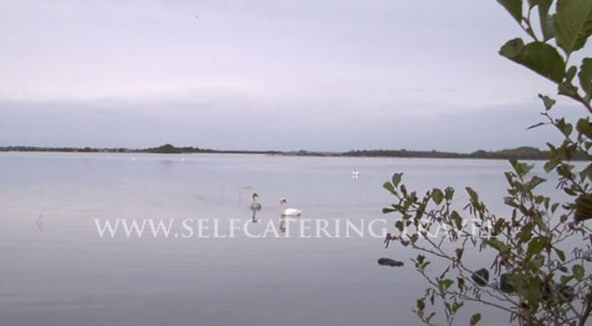 Photo of The White Cottage