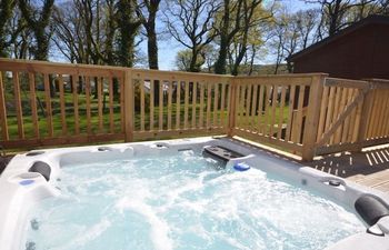 in Okehampton (29279) Holiday Cottage