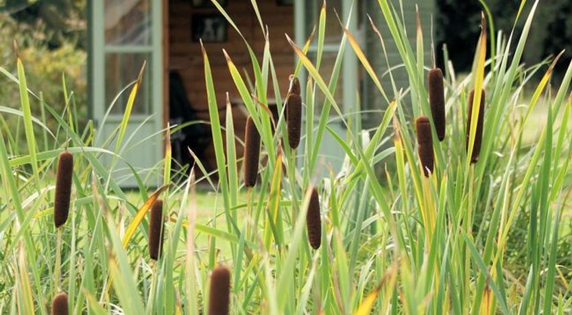 Photo of 1 Bed in Hainford