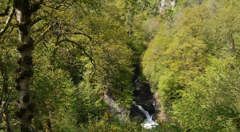 Photo of 2 Bed in Lintrathen