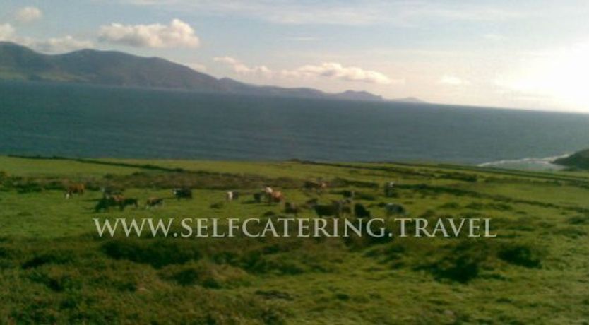 Photo of MaureeNs Lispole