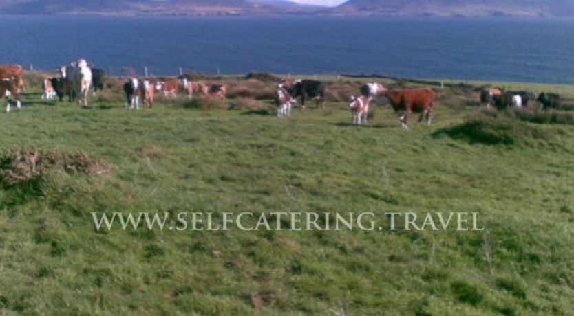 Photo of MaureeNs Lispole