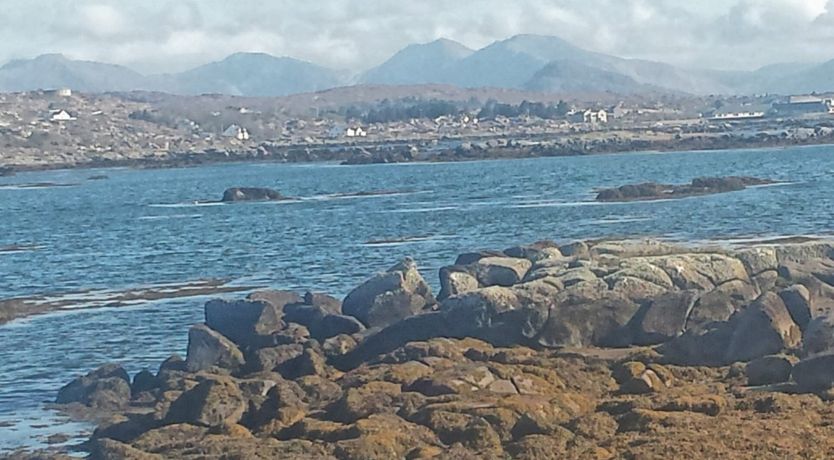 Photo of New Chalet to Let in Carna Connemara