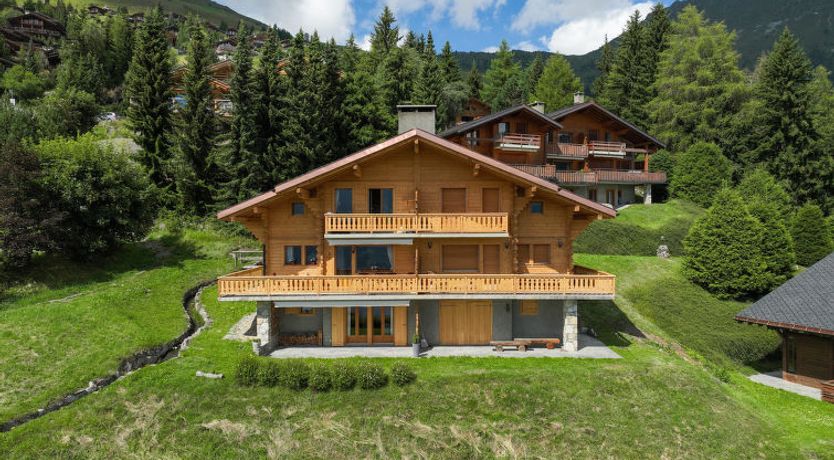 Photo of Pinot Gris combles