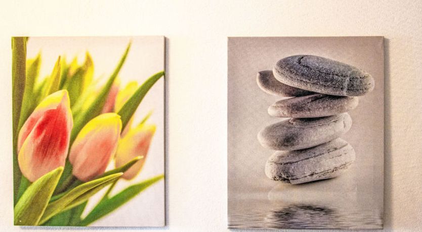 Photo of Les Arolles A1