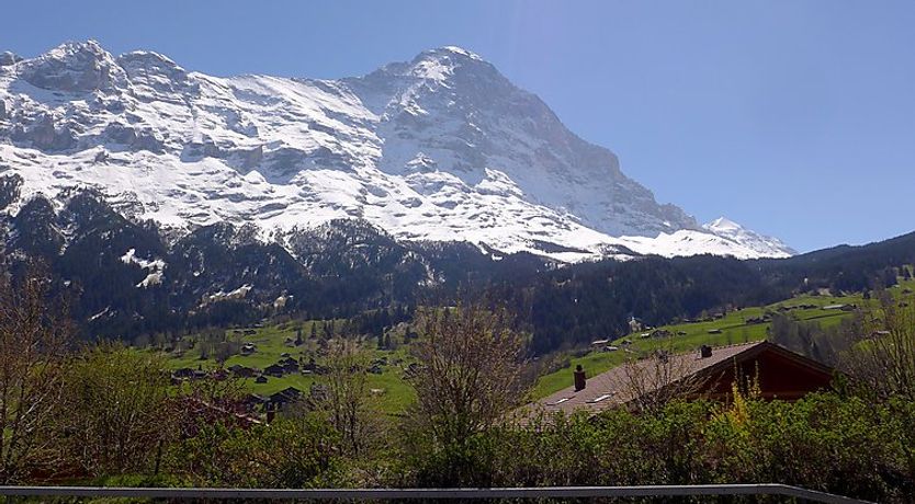 Photo of Strassscheuer