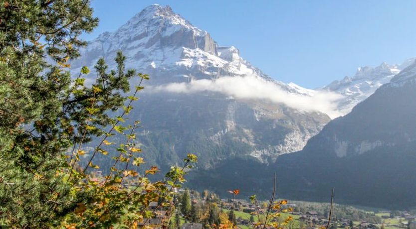 Photo of Chalet Shangri La