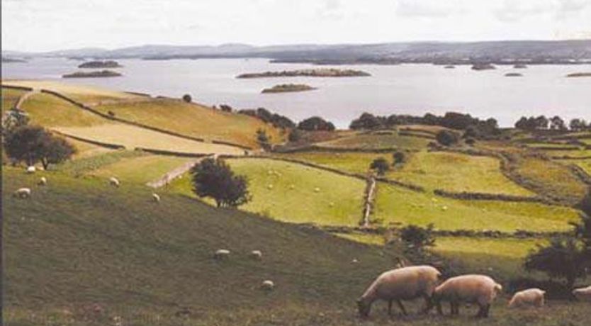 Photo of Dolmen House Apartments