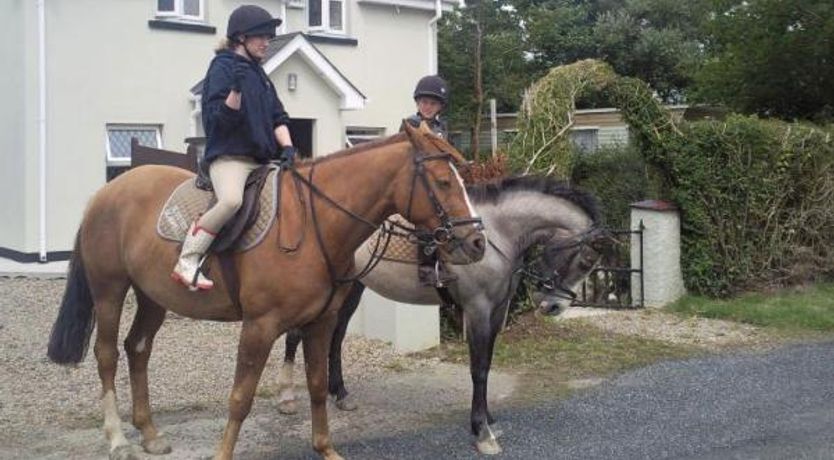 Photo of Wexford Haven