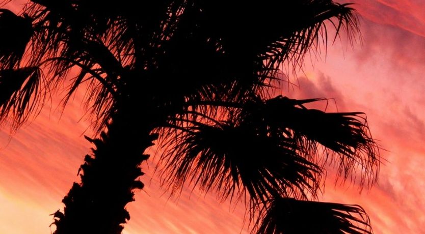 Photo of Diego Pinero