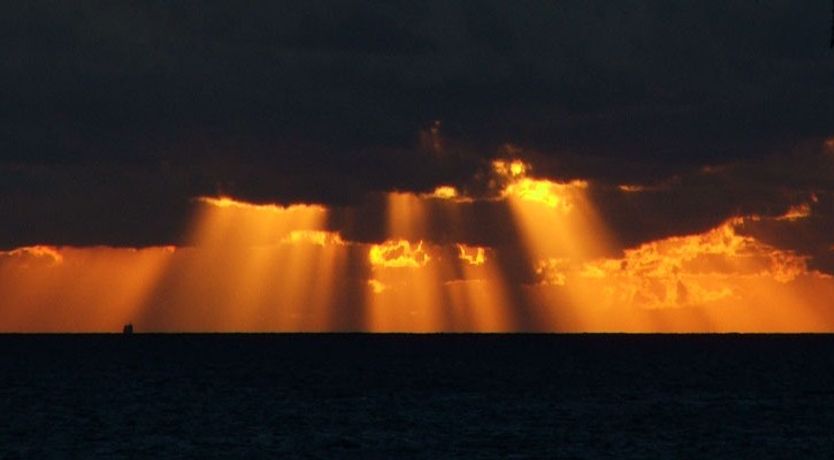 Photo of Diego Pinero