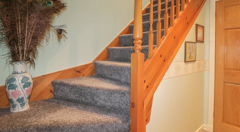 Photo of The Apartment