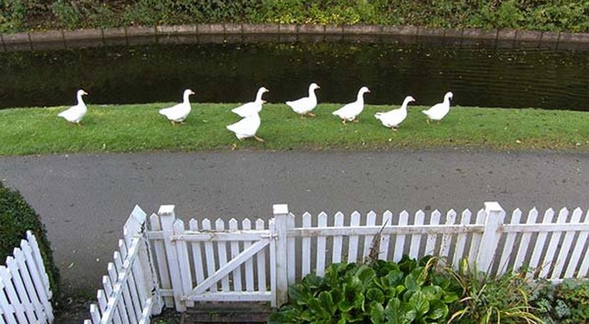 Photo of Aqueduct Cottage