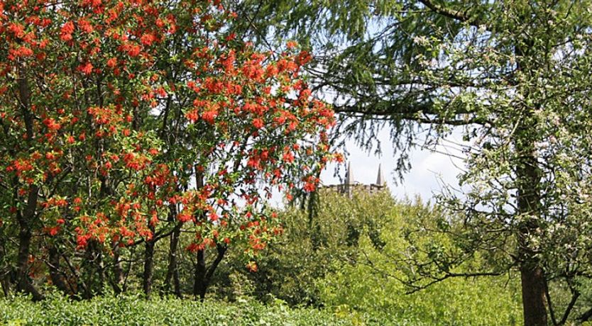 Photo of Glebe Country House