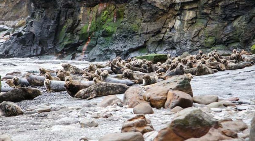 Photo of Swallow Cottage